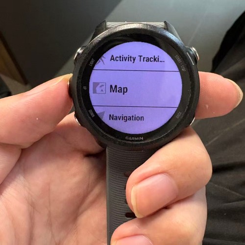 Garmin forerunner 245 - garmin,