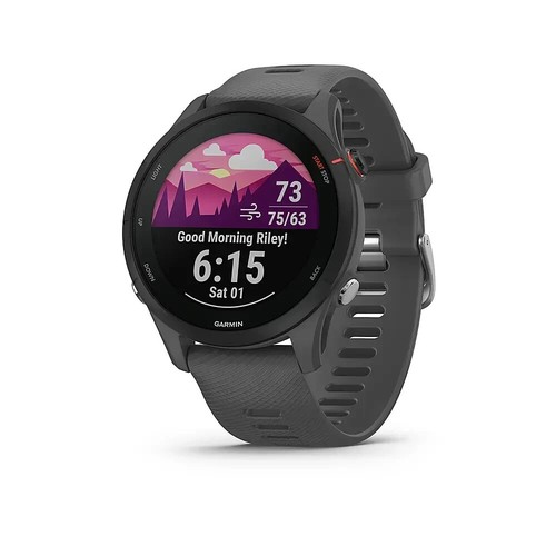Garmin forerunner 255 slate - garmin,